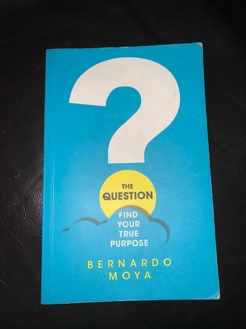 Read more about the article Book Summary: The Questions